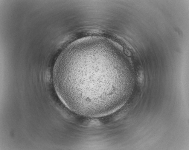 X0000115380715200911171435