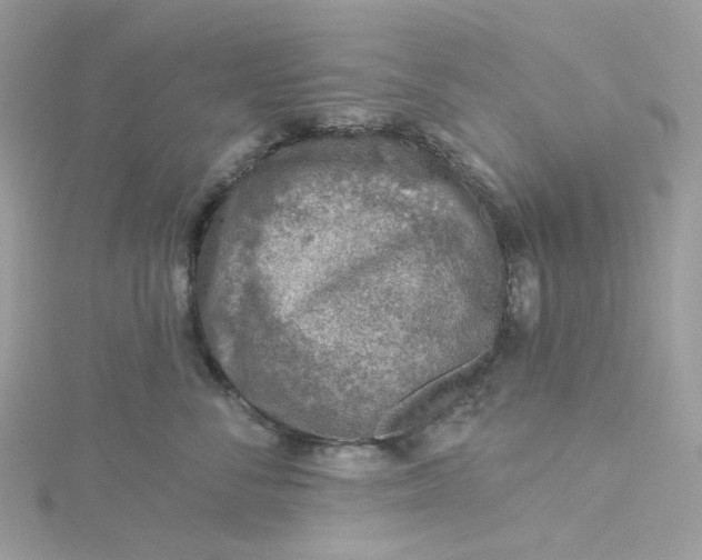 X0000115380716200911171435