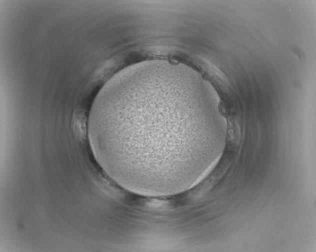 X0000115380718200911171435