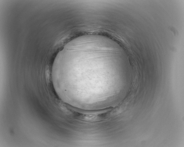 X0000115380720200911171435