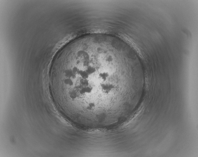 X0000115380721200911171434