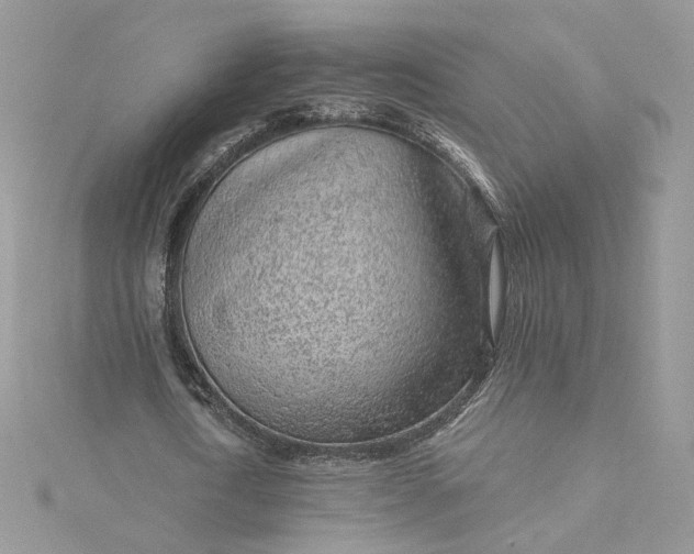 X0000115380722200911171434