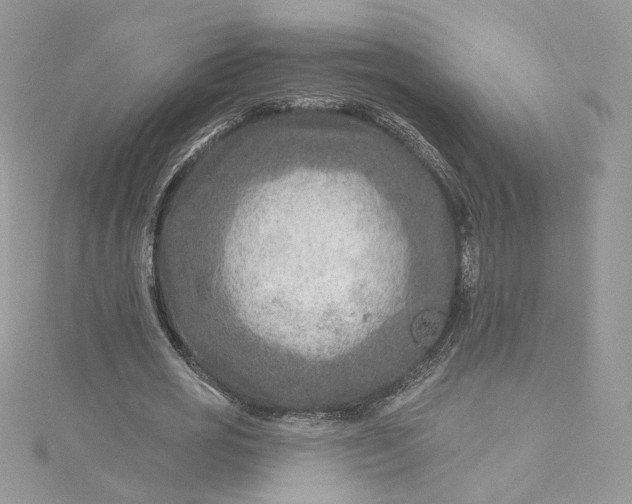 X0000115380725200911171434