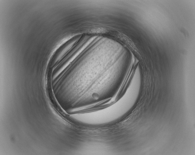 X0000115380726200911171434