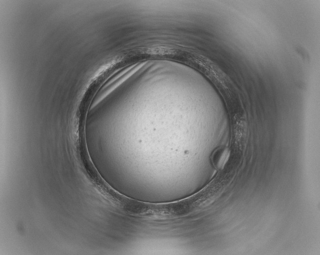 X0000115380727200911171434