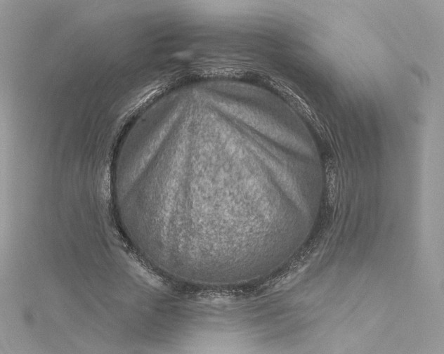 X0000115380729200911171434