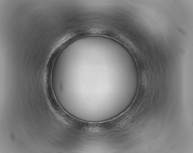 X0000115380730200911171435