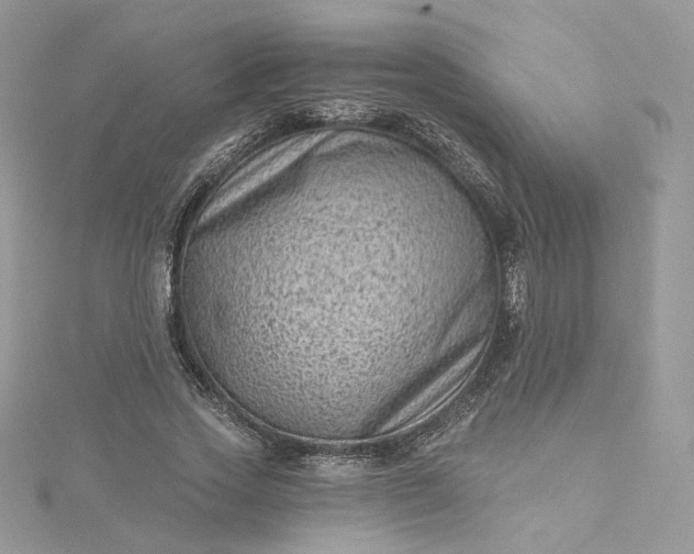 X0000115380733200911171435