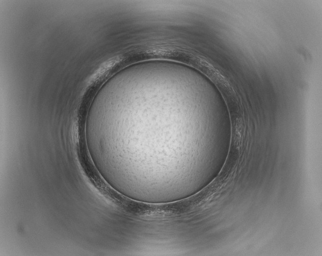 X0000115380734200911171435