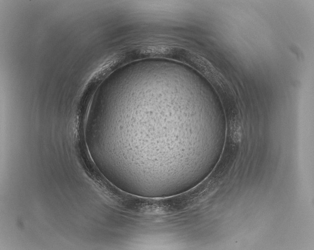 X0000115380735200911171435