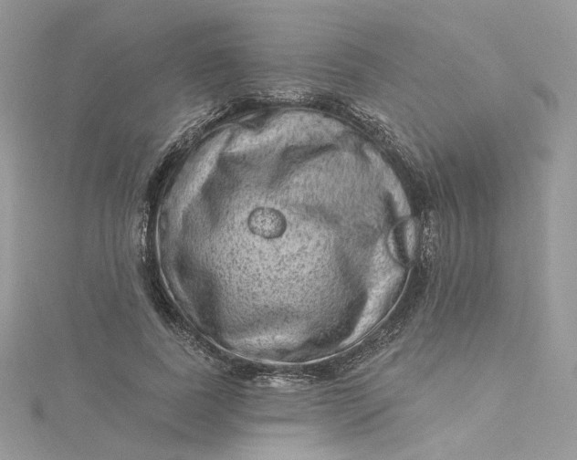 X0000115380739200911171435