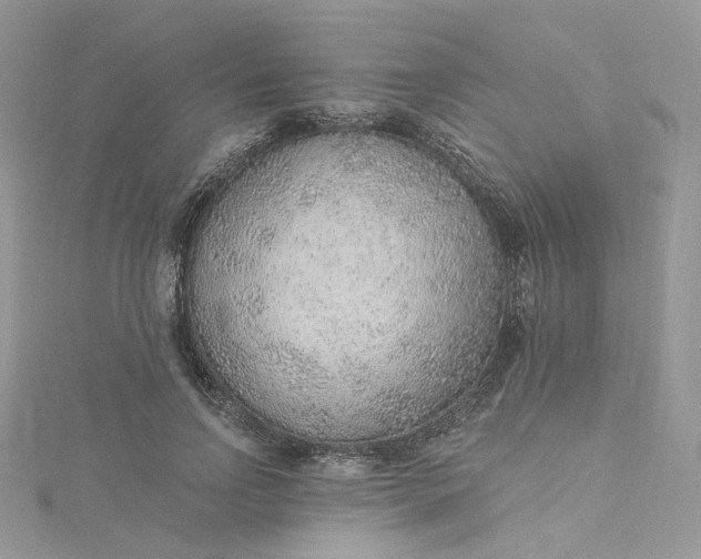 X0000115380742200911171435