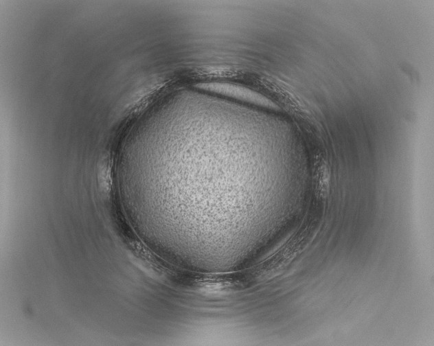 X0000115380746200911171435