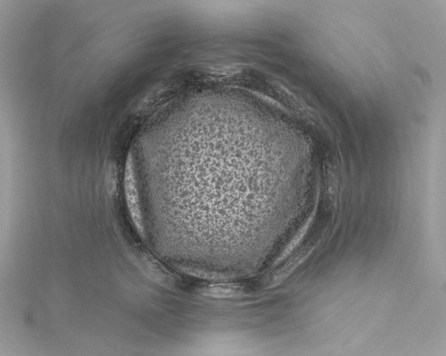 X0000115380758200911171435