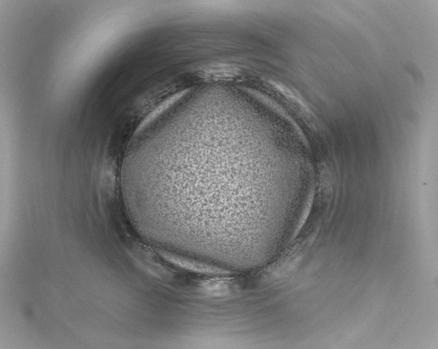 X0000115380761200911171435