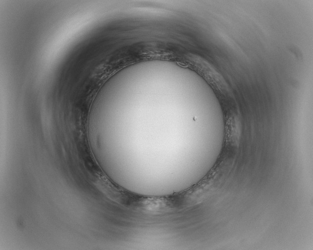 X0000115380762200911171435