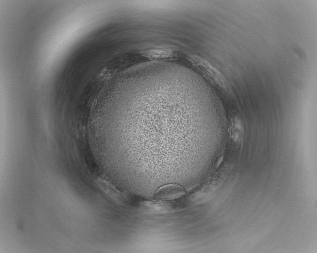 X0000115380763200911171435