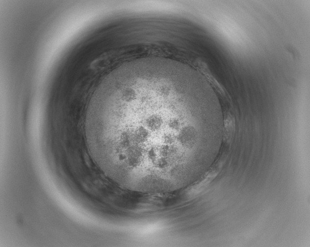 X0000115380765200911171435