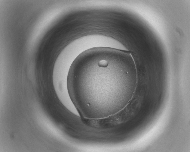 X0000115380766200911171435