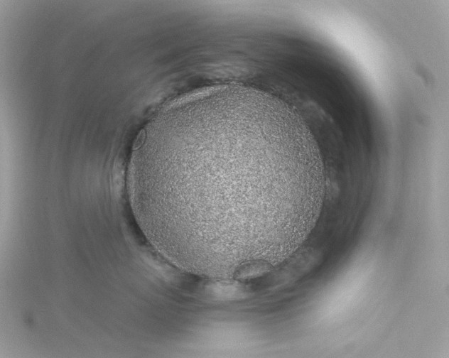 X0000115380767200911171435