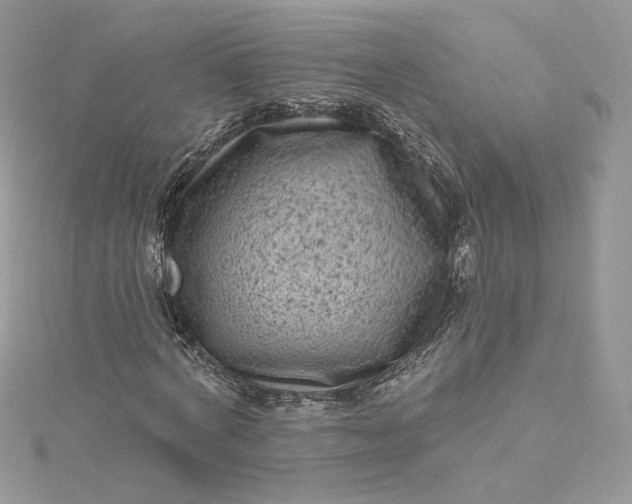 X0000115380772200911171434