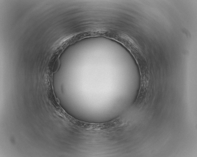 X0000115380773200911171434