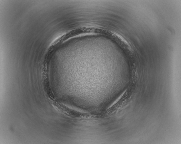 X0000115380775200911171434