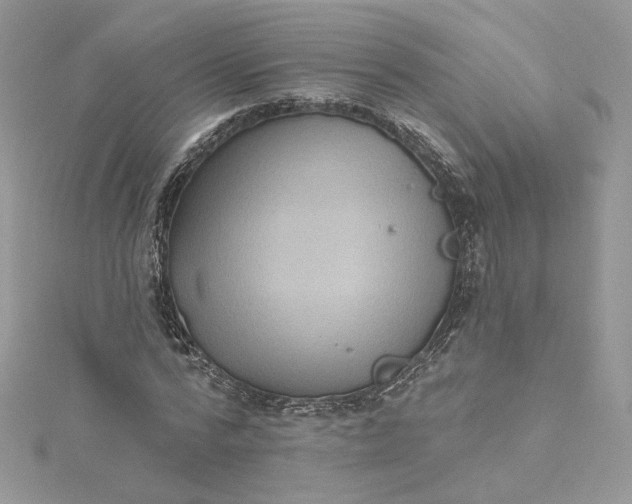 X0000115380776200911171434