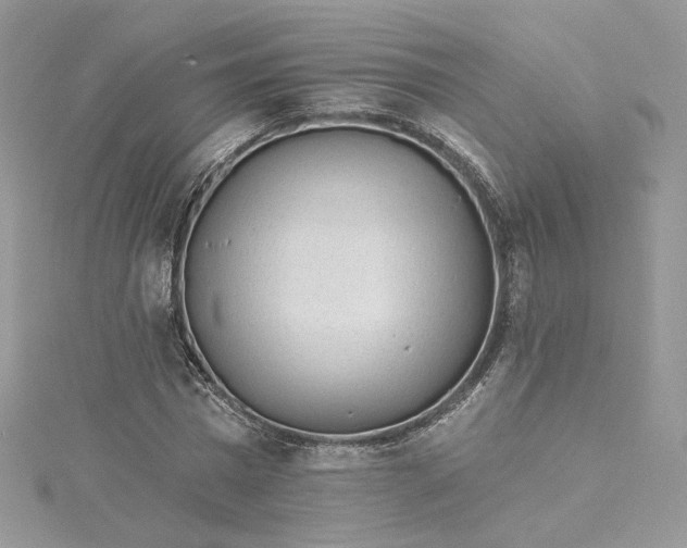 X0000115380777200911171434