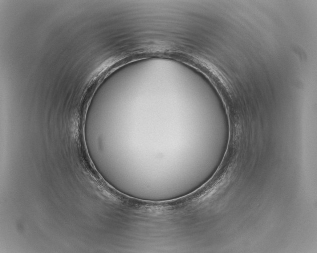 X0000115380778200911171434