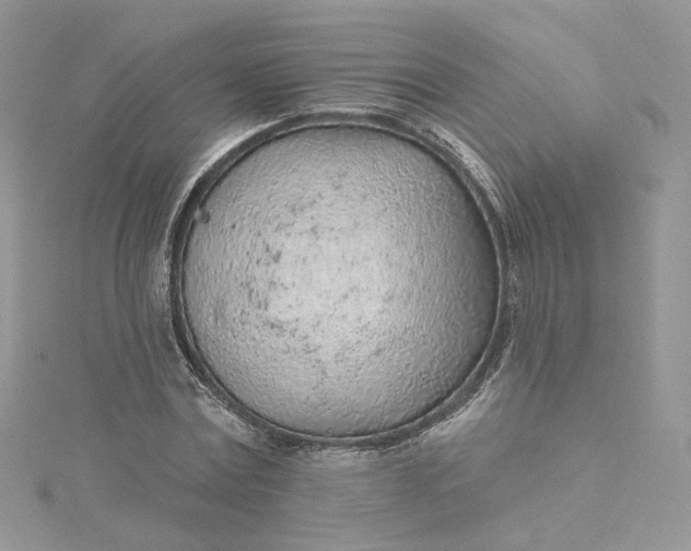 X0000115380779200911171434