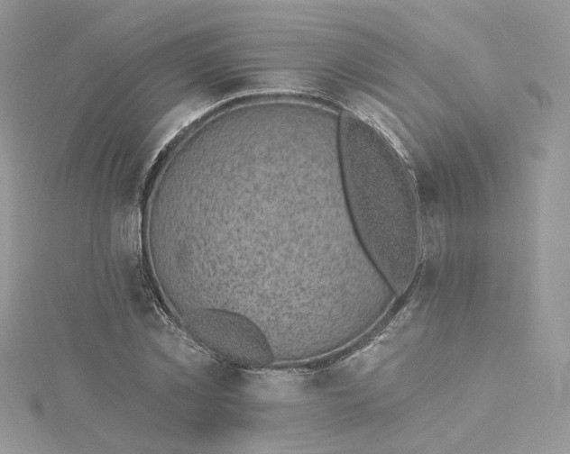 X0000115380781200911171434