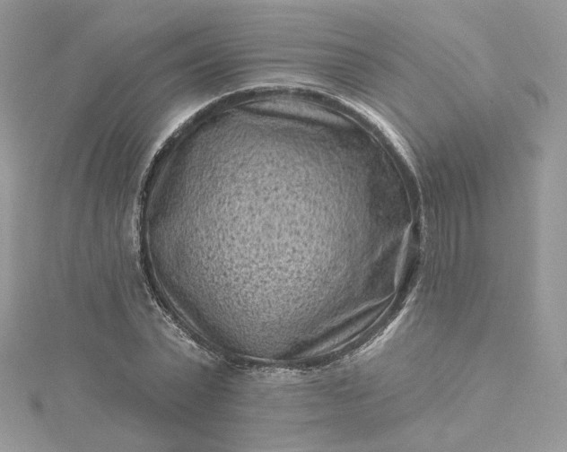 X0000115380783200911171434