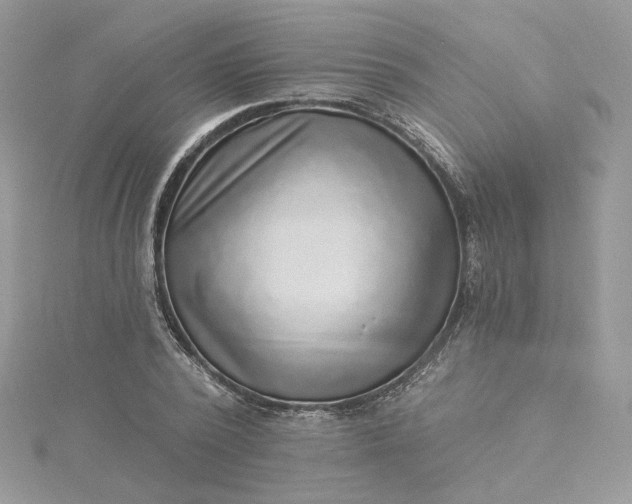 X0000115380784200911171434