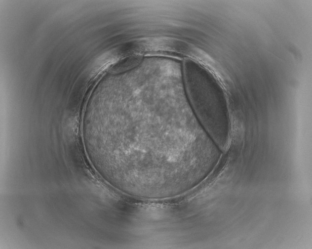 X0000115380785200911171434