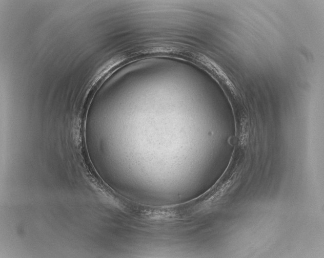 X0000115380786200911171434