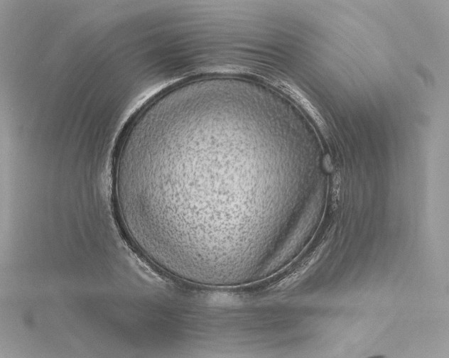 X0000115380787200911171434