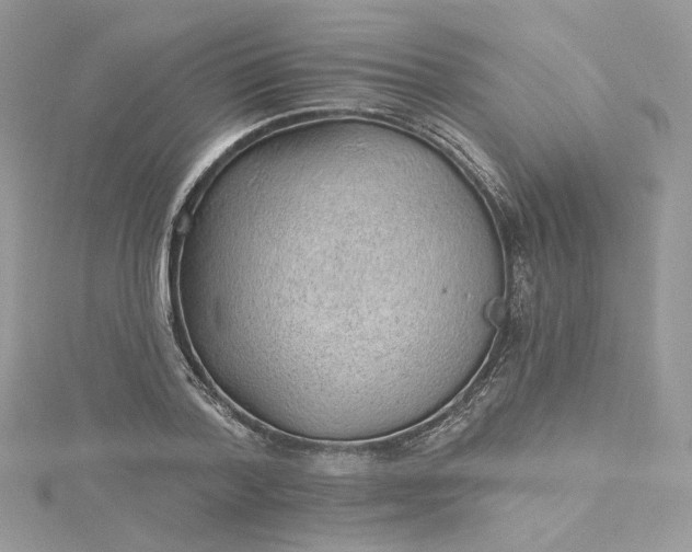 X0000115380788200911171434