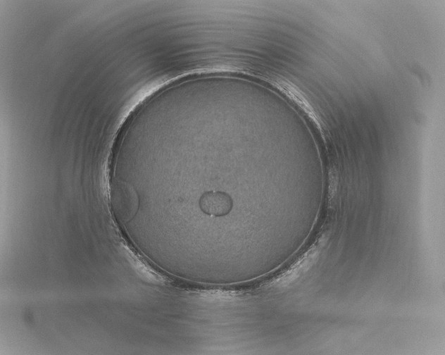 X0000115380789200911171434