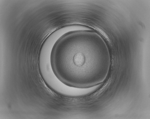 X0000115380793200911171434