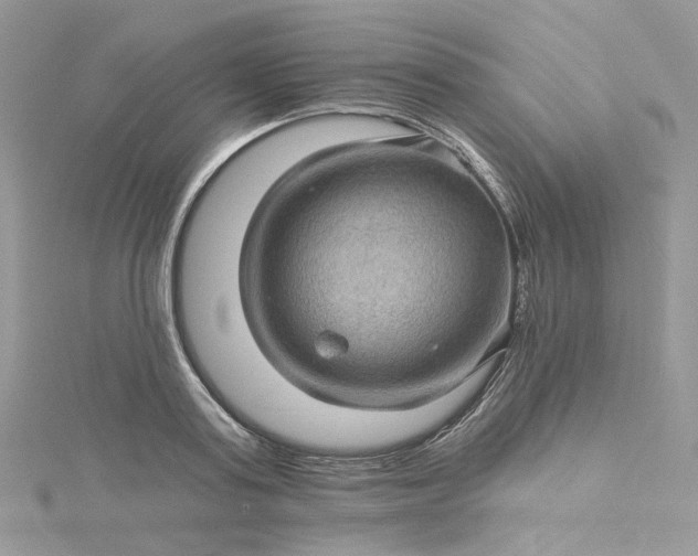 X0000115380795200911171434