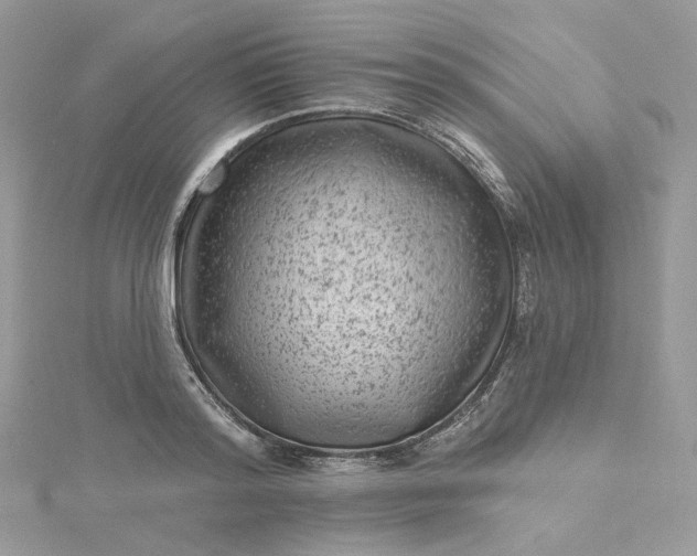 X0000115380796200911171434