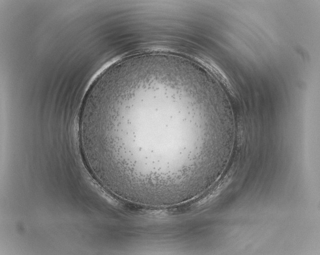 X0000115380798200911171434