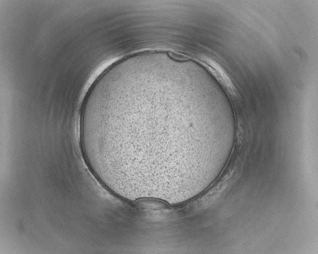 X0000115380804200911171434