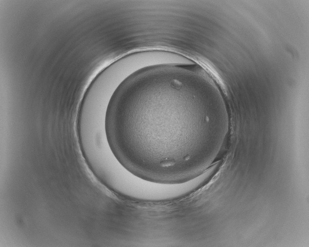 X0000115380805200911171434