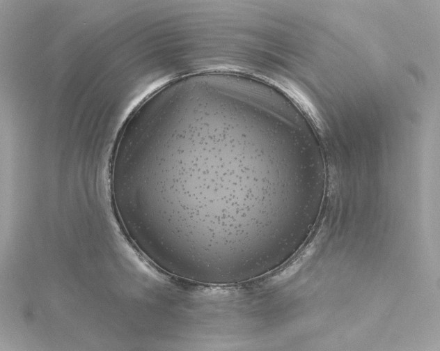 X0000115380806200911171434