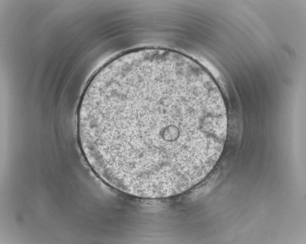 X0000115380807200911171434