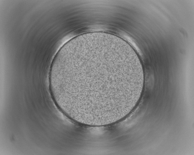 X0000115380810200911171434