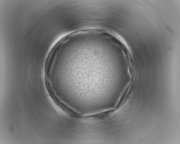 X0000115380811200911171434