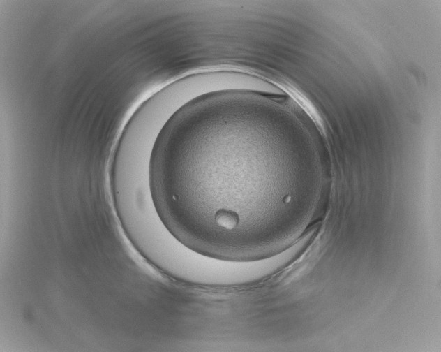 X0000115380813200911171434